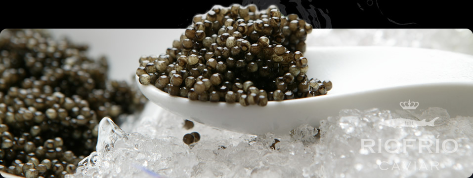 caviar-riofrio-acuicultores-desde-1956-3