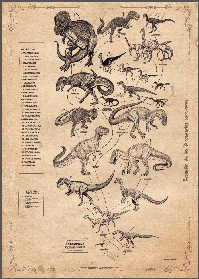 Lámina vintage evolución dinosaurios carnívoros