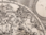 Planisferio del Globo Terrestre de Francesco Brunaai. 100x80 cm. Cartografía Histórica