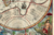 Orbis Plancius 1594. 100x70cm. Cartografía Histórica. Gran Formato.