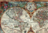 Orbis Plancius 1594. 100x70cm. Cartografía Histórica. Gran Formato.