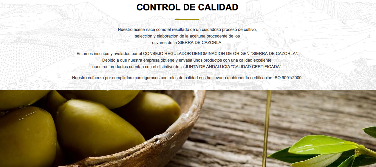CONTROL_DE_CALIDAD_ESPANOL